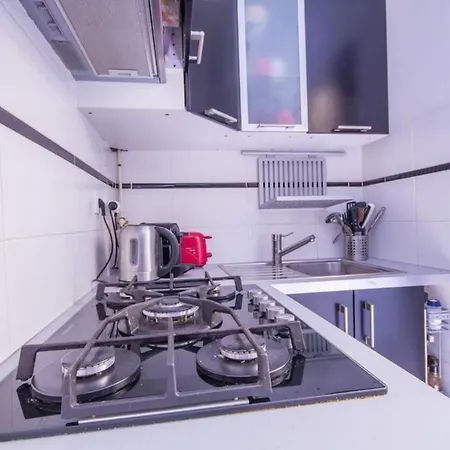 Beautiful Apartment With Balcony In Bastille Appartement